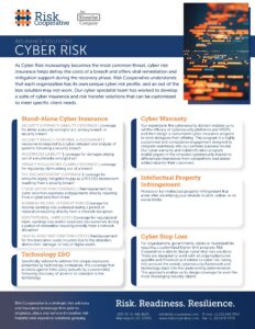 Cyber Insurance OnePager